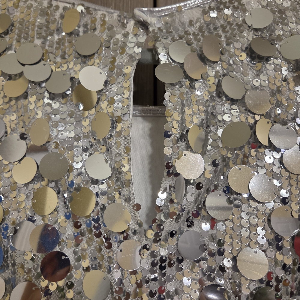 Silver Sequin Sleeveless Dress - Picture 6 of 7